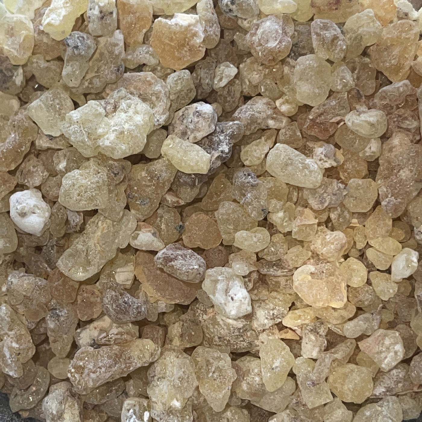 Photographie macro des larmes de Boswellia frereana, Somaliland.
