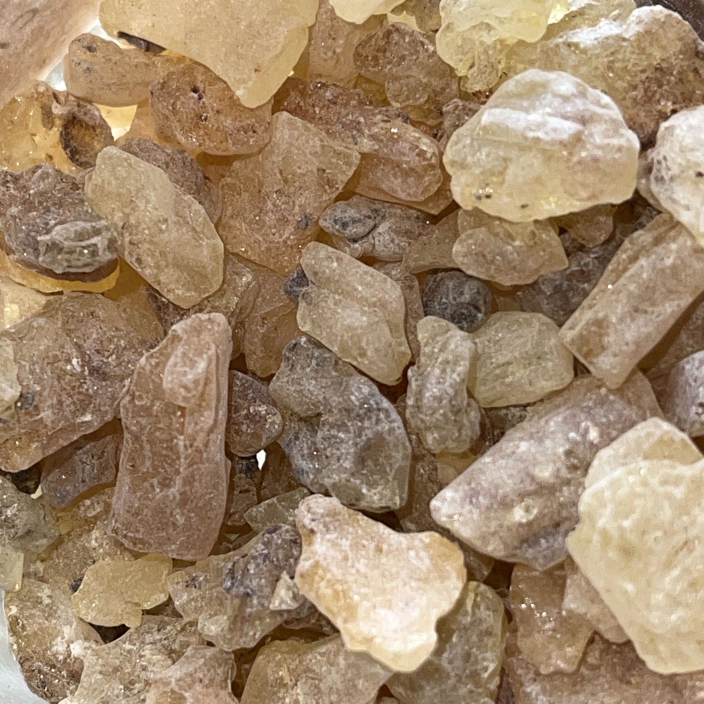 Photographie macro des larmes de Protium crassipetalum, copal d'or, Amérique centrale.