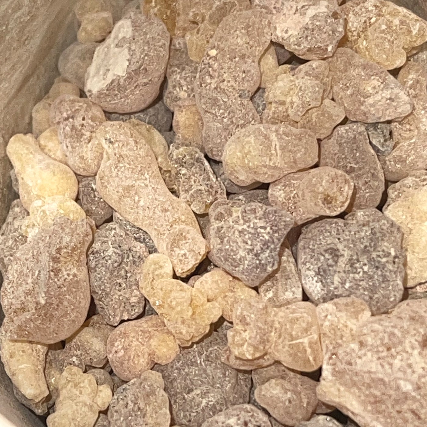 Photographie macro des larmes de Boswellia papyrifera, Éthiopie.